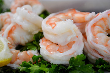 Vorspeise - Scampis, Riesengarnelen, Gambas, 