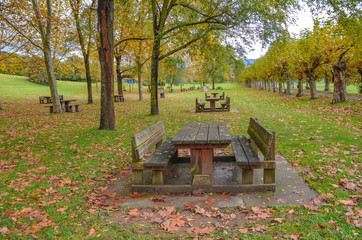 Merendero en otoño 