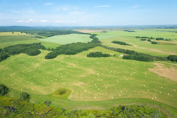 Obraz premium An aerial photo of green farm land with hey barrels and blue sky.