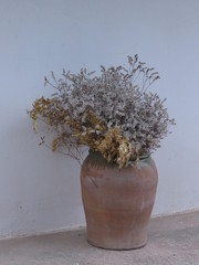 si nr