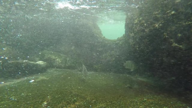 Underwater view of a wave crashing in shallow water over corals and rocks at Mah_, Seychelles with tropical fish swimming by. GoPro, POV. 
