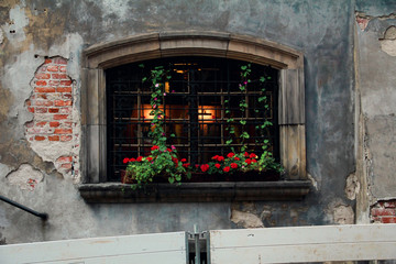 Fototapeta na wymiar Big window with wrought-iron grating in shabby house, decorated with potted plants - flowers geranium on a sill. Street details in old centre of Warsaw.