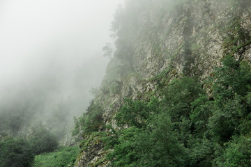 Beautiful mountain landscape in the fog