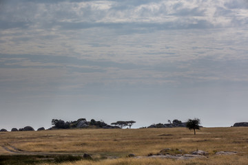 Tansania - Nationalpark Serengeti