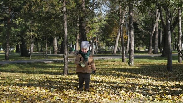 a little boy walks in autumn Park. throws leaves
