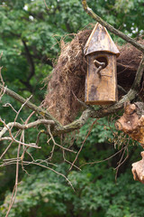 birdhouse on a tree in forest Park , hand wood shelter for birds