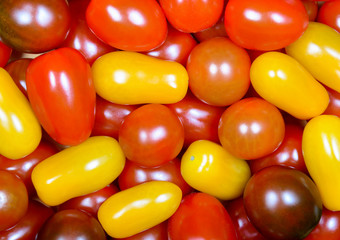 the plum-shaped tomatoes and cherry assorted colors closeup