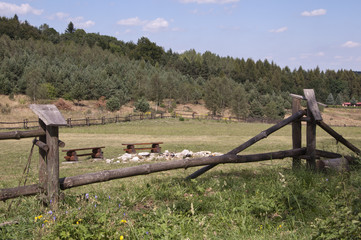 on the Jurassic trial