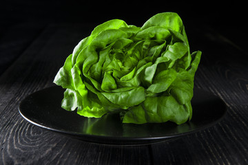 Lechuga romana cruda para la ensalada
