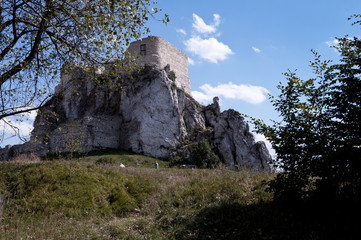 on the Jurassic trail © amadeusz