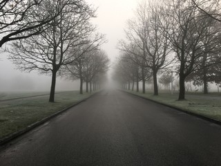 Lonely foggy road 