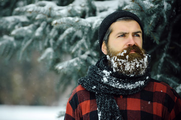 Man with beard in winter forest with snow.