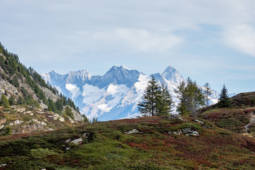 Schweiz - Wallis - Rothwald