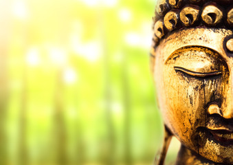 head of golden buddha statue on lush green background