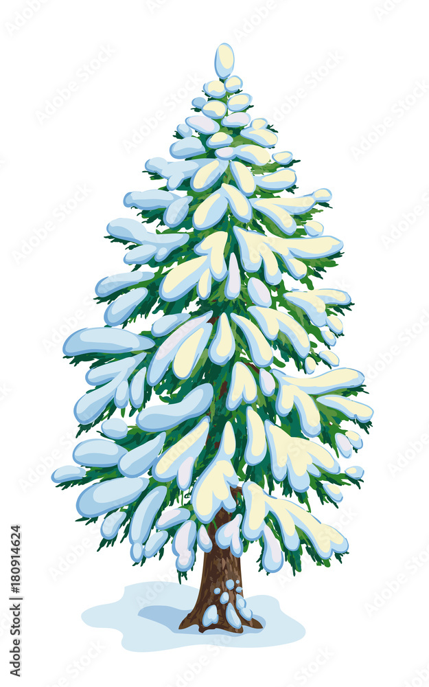 Canvas Prints big snow-covered fir tree. vector dwawing