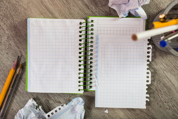 Torn crumpled notebook sheet