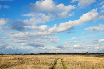 Fototapeta premium dirt road under the sky with clouds