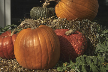grouping of decorative orange and green pumpkins with hay and grass