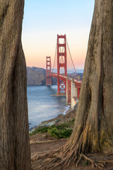 Golden Gate Bridge Through Cypress Trees. California Coastal Trail, The Presidio, San Francisco, California, USA. © Yuval Helfman