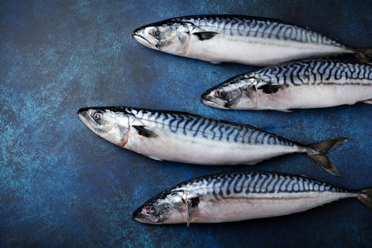 Raw mackerel fish with ingredients for cooking on a blue concrete or stone background. Selective focus. Top view.