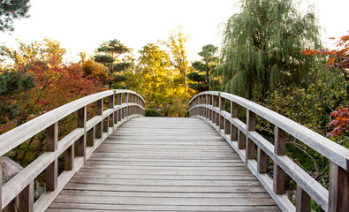 A wood curved bridge leading to an autumn garden with trees full of yellow and orange leaves.