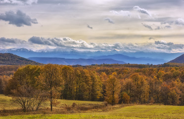 Beautiful landscape with colorful autumn trees with snowy mountains in the background.