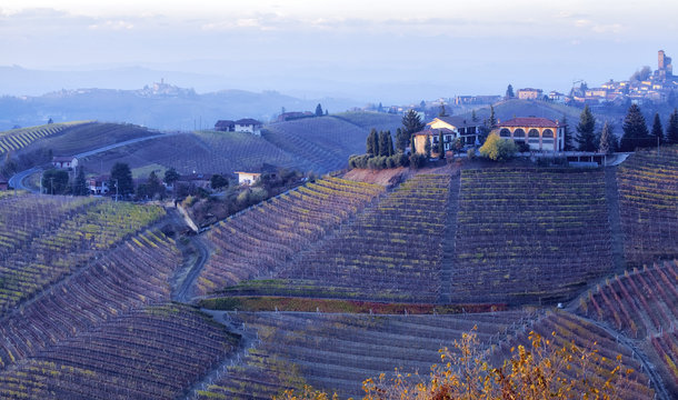 Langhe autumn panorama. Color image