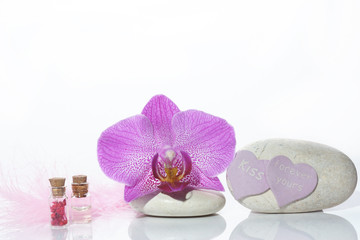 Obraz na płótnie Canvas Set for Valentines day with stones, orchid flower and pink feather on white background