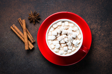 Cup of hot chocolate with marshmallow.
