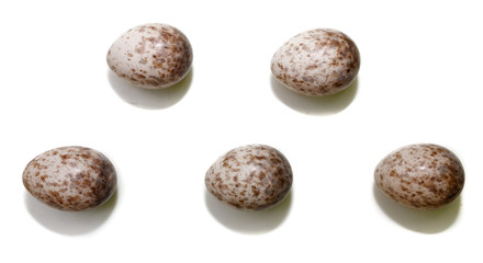 Acrocephalus dumetorum. The eggs of the Blyth's Reed Warbler in front of white background, isolated.