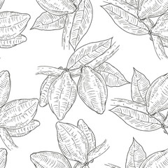 Seamless pattern with cocoa beans in retro vintage hand drawn, sketches, engraved style. Isolated on white background. Modern vector illustration.