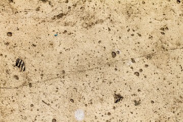 Grunge concrete texture, for backgrounds