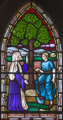 LONDON, GREAT BRITAIN - SEPTEMBER 19, 2017: The parable of the Fig tree on the stained glass in St Mary Abbot's church on Kensington High Street.