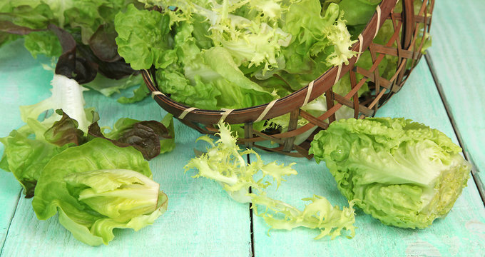 Différentes variétés de feuilles de salades