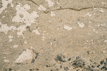Grunge concrete texture, for backgrounds
