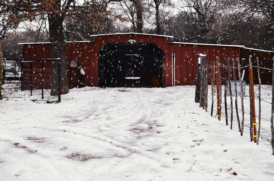 Rural Farm Winter With Snow On Drive To Red Barn, Trees And Nature In Background Of Building.  Snow Covered Cold Landscape For Rustic Ranch Christmas.