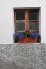Fototapeta na wymiar window with flowers from a rural Alps house - Aosta Valley Italy