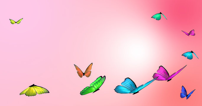 Butterflies on a soft pink background. Digitally generated illustration.