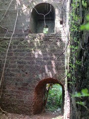 overgrown walls of the fortress 2