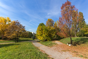 Fototapeta premium Autumn landscape with Yellow trees in South Park in city of Sofia, Bulgaria