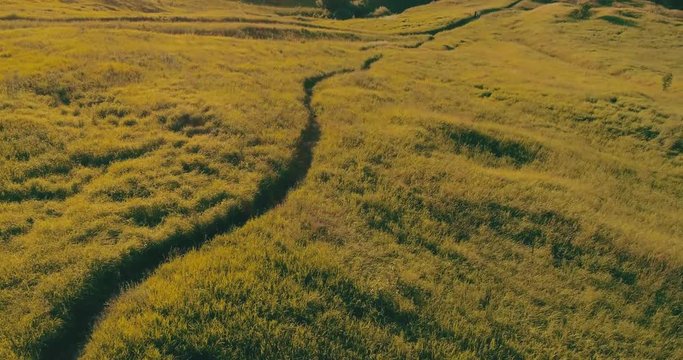 Journey through the Golden Ring. rone flying under juicy grass green and meadows. Spring nature in Russia. Konstantinovo village.