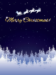 Merry Christmas and Happy New Year card
