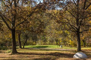 Autumn landscape with Yellow trees in South Park in city of Sofia, Bulgaria