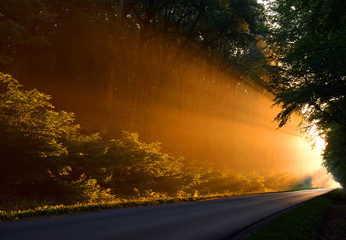 Obraz premium Beautiful morning