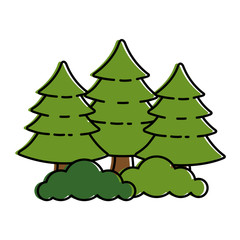 pine forest scene icon