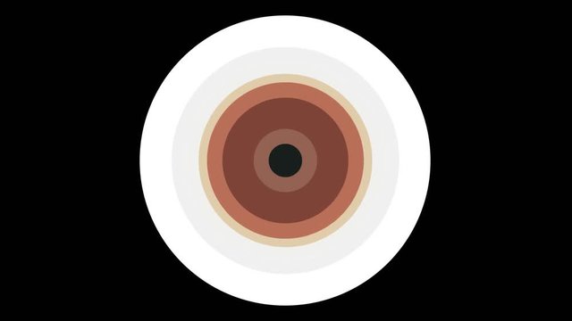 Animation konzentrischer Kreise in warmen Farben