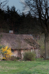 drewniana chatka pokryta strzechą