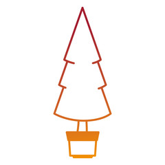 christmas tree in pot