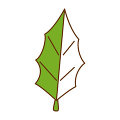 christmas leafs decorative icon
