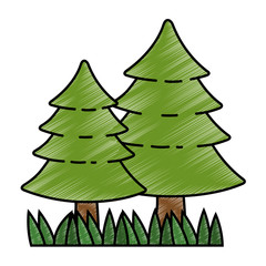 pine forest scene icon